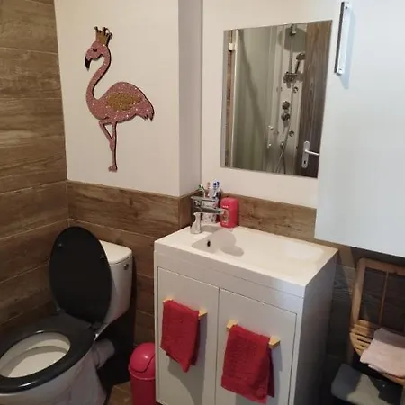 Hébergement de vacances Maison Pink Flamingo Aeroport 2 A 4 Personnes