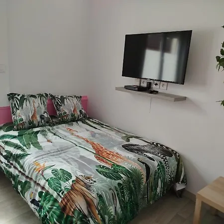 Maison Pink Flamingo Aeroport 2 A 4 Personnes *