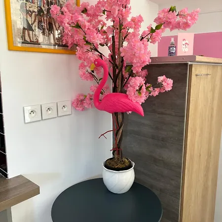 Hébergement de vacances Maison Pink Flamingo Aeroport 2 A 4 Personnes Tillé